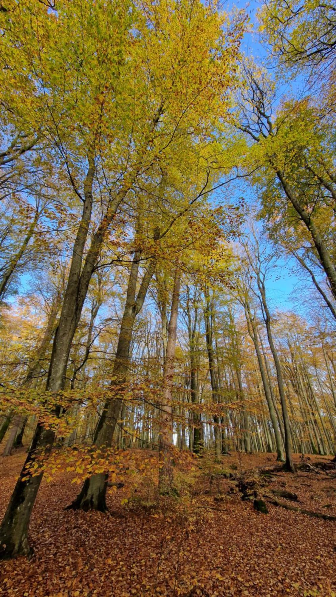 Willa Abrazja - Wypoczynek Dla Doroslych Jastrzebia Gora Exterior foto